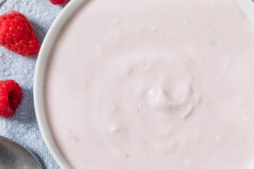 Healthy Cold Raspberry Greek Yogurt