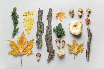Composition with mushrooms, tree bark and autumn leaves on grey background