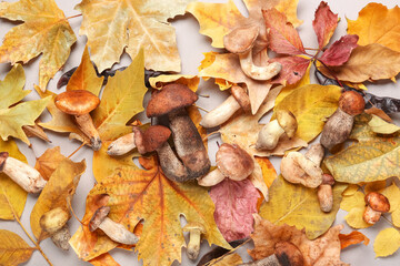 Composition with mushrooms and autumn leaves on grey background
