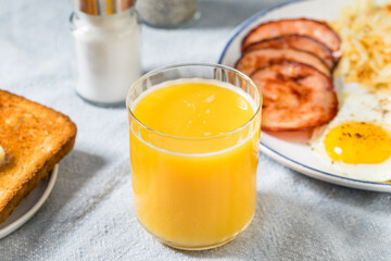 Fresh Squeezed Healthy Orange Juice OJ