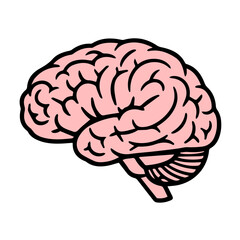 Brain, brain icon isolated on white, human brain, neuroscience, medical organ, anatomy illustration, healthcare symbol, psychology, intelligence, mental health, biology, nervous system, cognitive