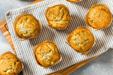 Sweet Homemade Poppyseed Muffins