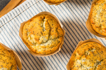 Sweet Homemade Poppyseed Muffins