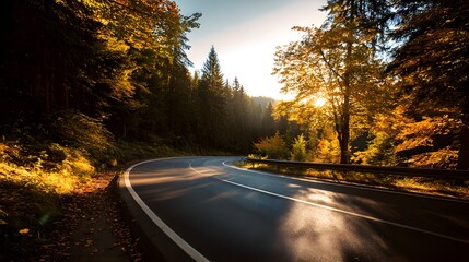 Winding mountain highway stretches through dense forest bathed in bright morning sunlight