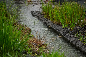 Photo of water flooded in the gutter when raining. rain drops, water, fall. green grass. drain....