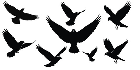 Obraz premium A collection of stark black bird silhouettes in different flight poses, symbolizing freedom, movement, and the wild, ideal for various design projects and natural themes