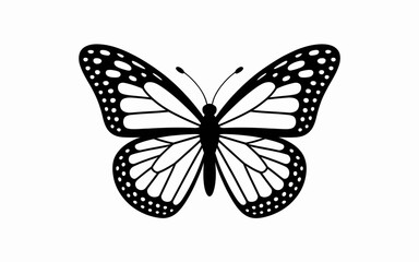 butterfly vector illustration