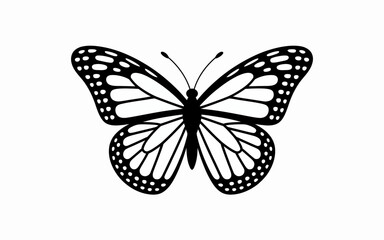 butterfly vector illustration