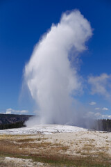 geyser in yellowstone national park