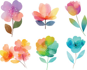 Obraz premium set of watercolor colorful flowers