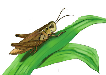 Brown Grasshopper Drawing on Green Leaves