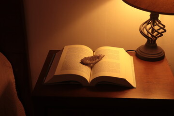 Libro sobre mesa de luz