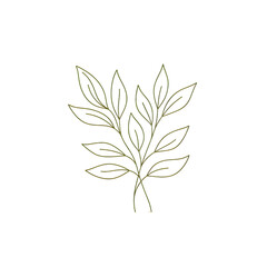 Simple botanical line art illustration of a leafy branch with clean outlines and neutral tones. Perfect for wall art, logo design, stickers, or minimalist decor themes.