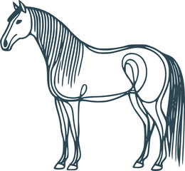Obraz premium Contour horse, elegance of lines
