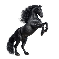 Majestic Black Horse Rearing up Isolated on transparent background