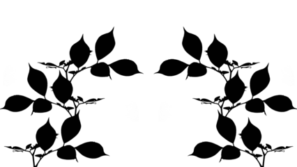 Symmetrical Black Leaves Silhouette Border Graphic on White