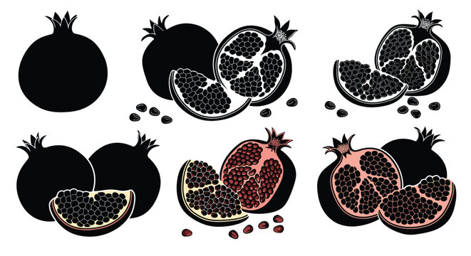 A graphic vector illustration depicting various stages of pomegranates, from whole fruit silhouettes to cut halves with visible seeds and vibrant arils on white. - Powered by Adobe