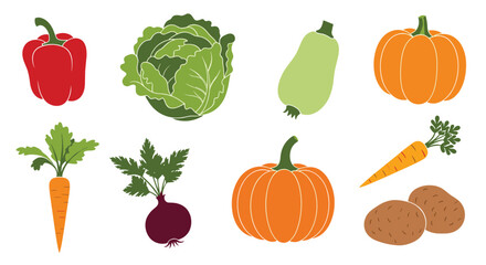 A vibrant assortment of freshly harvested, healthy, and organic garden vegetables including carrots, bell pepper, cabbage, pumpkins, and potatoes.