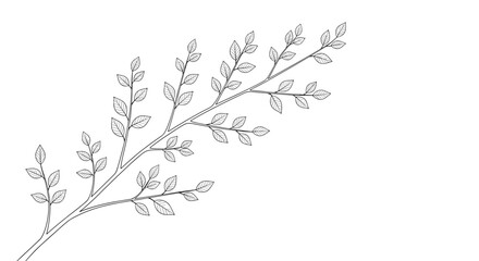 Fototapeta premium Line drawing of a branch with leaves, nature