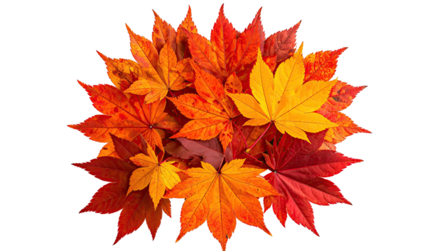 Vibrant fall leaves reds, oranges, and yellows in radial burst