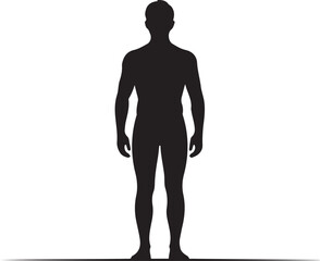 Obraz premium Black silhouette of a standing male figure on a white background person human