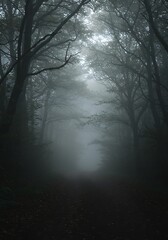 Misty Forest Path with Tall Trees and Ethereal Light.
