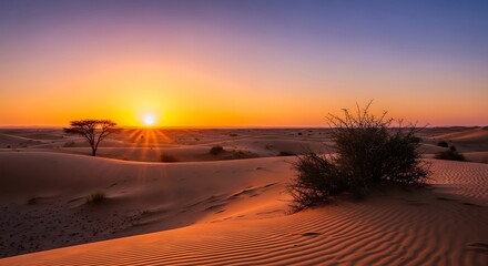 Vibrant desert sunset with golden light over sand dunes and sparse vegetation.