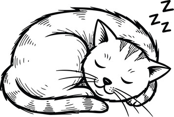 Vector illustrations of cat different breeds set, cute pet animals, lovely kitten on white background in flat style design.