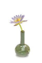 Close-up of beautiful blooming water lily in the vase isolated on white