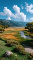 Obraz premium Vibrant Rural Landscape with a Gently Flowing Stream Through Golden Grass Under a Bright Blue Sky with Fluffy White Clouds and Lush Green Hills in the Background