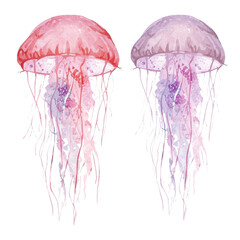 Naklejka premium red and white jellyfish