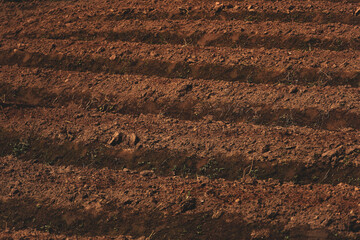 Rustic Textured Farm Land Furrows Detail Agriculture Brown Landscape