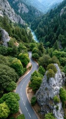 Winding Asphalt Road Through Lush Green Mountain Forest Beside Turquoise River Under Bright Sunlight