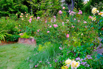 秋バラ咲く四季の香ローズガーデン