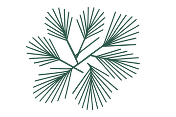 Pine tree branch drawing, green needle foliage, natural forest element, minimal plant graphic on transparent background
