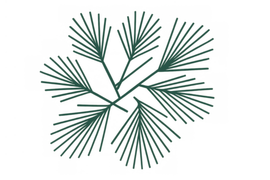 Pine tree branch drawing, green needle foliage, natural forest element, minimal plant graphic on transparent background - Powered by Adobe