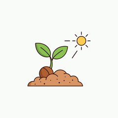 A young plant sprouting from the soil under the warm sunlight.
