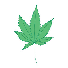 Hand drawn cannabis leaf Medicine marijuana Hemp leaves clipart in doodle style Single element for print, web, design, decor
