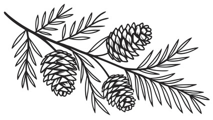 Minimalist Pine Branch with Cones Line Art Illustration. Hand Drawn Botanical Element for Winter and Holiday Design