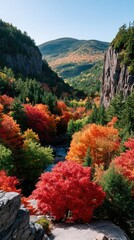 Vibrant Sunlit Hills Ablaze With Autumn Foliage In A Lush Forest Valley Under Clear Blue Skies