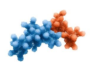 High-definition schematic of protein-protein interaction network