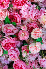 close-up view of pink and light pink roses blooming together, showing soft petals and green leaves in a vibrant floral arrangement