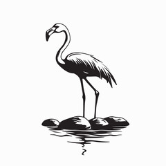 Graceful Flamingo Standing in Water with Rocks Vector Illustration