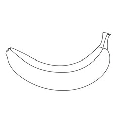 Banana fruit line art vector illustration