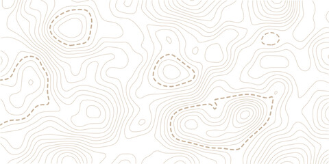 Topographic map lines background. Abstract vector illustration. Vector illustration.