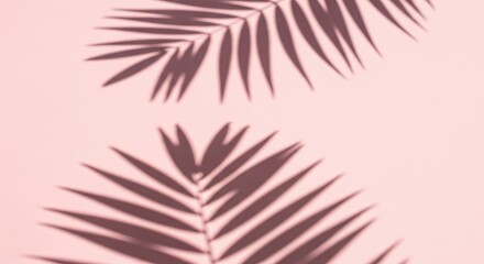 Naklejka premium Palm leaf shadows on a pink background creating a tropical and minimalist aesthetic.