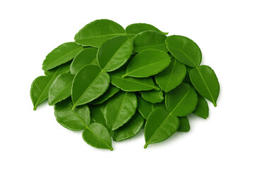 Fototapeta premium Kaffir lime leaves forming a pile, fresh green citrus herbs for cooking, transparent background