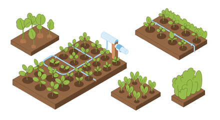 Isometric garden beds with irrigation system and various plants for agriculture and farming design