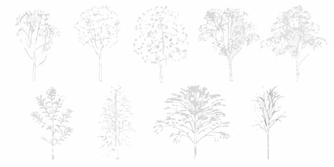 Collection of stylized white trees with delicate branches and leaves on a clean white background