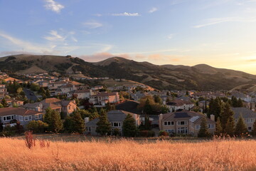 Golden grass in the hills at sunset in San Ramon, California
